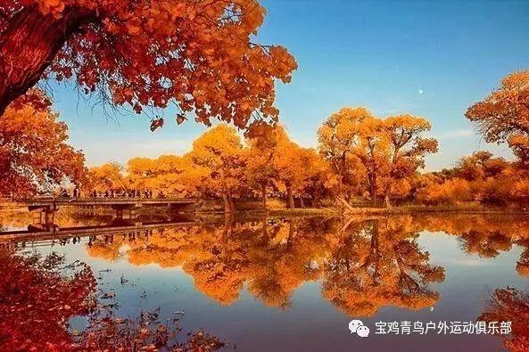 全球首例活人“换头”手术,其志愿者是俄罗斯程序员,结果怎样?